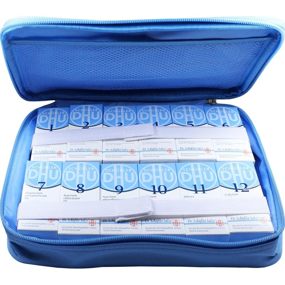 DHU Schüssler Haus- und Reiseapotheke klein 1 St Kombipackung