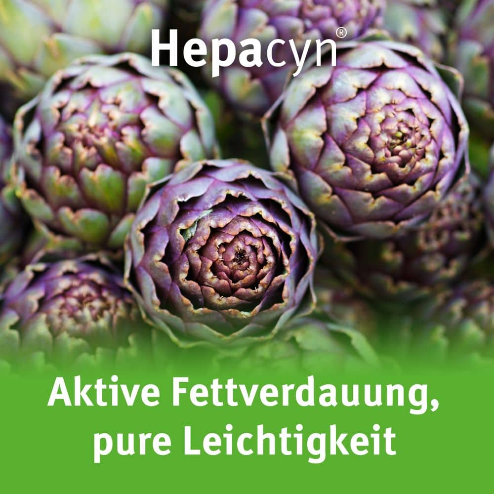 Hepacyn 60 St Filmtabletten