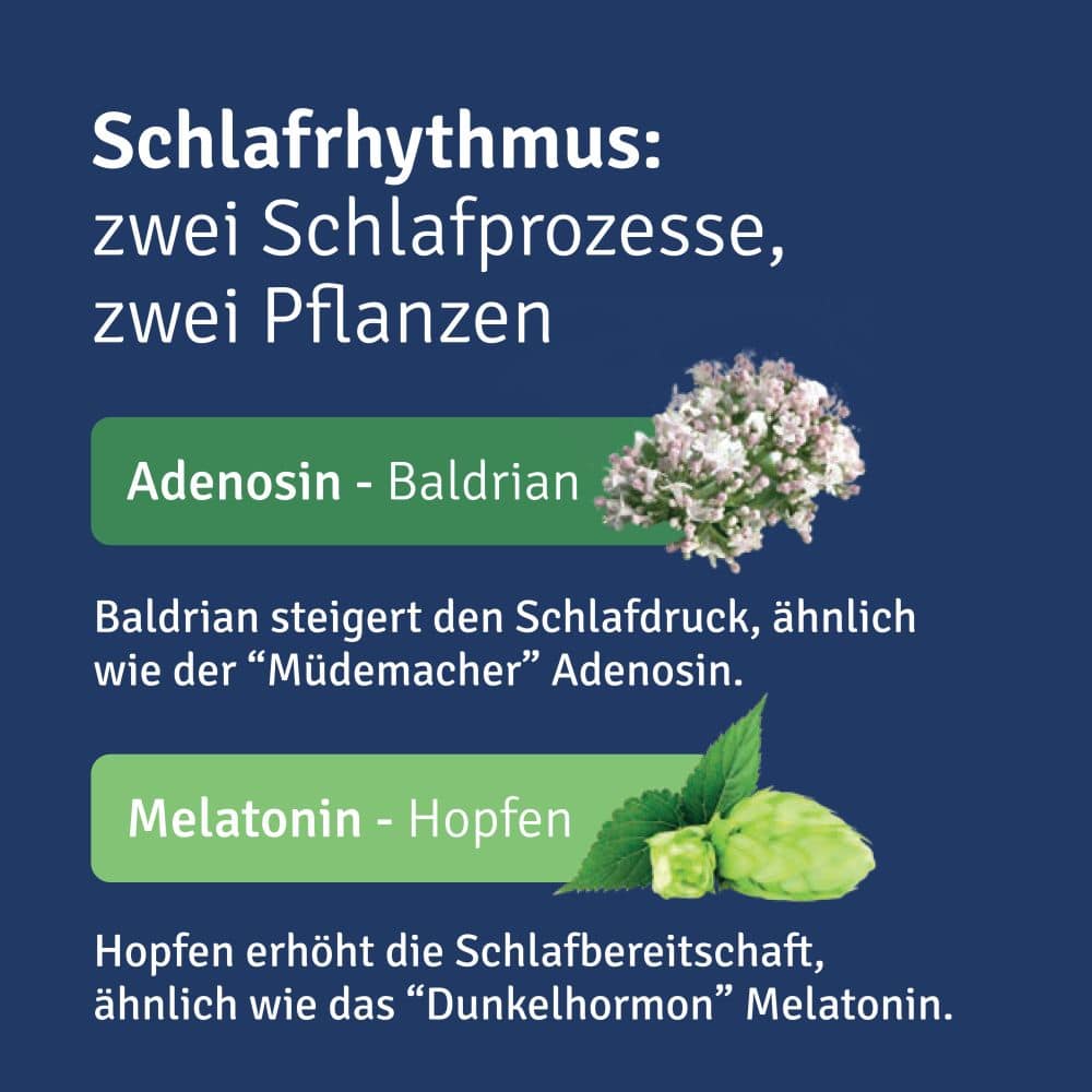 ALLUNA Schlaf 20 St Filmtabletten