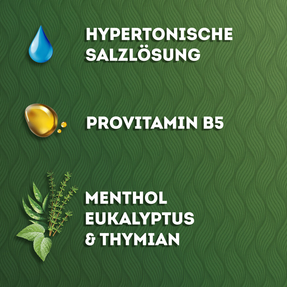 Nasivin Natura Nasenspray 20 ml Nasenspray