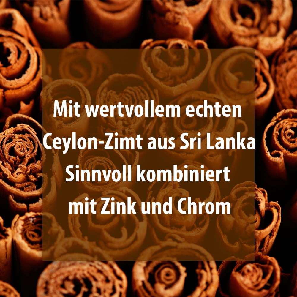Ceylon-zimt 500 Aktiv Kapseln 120 St Kapseln