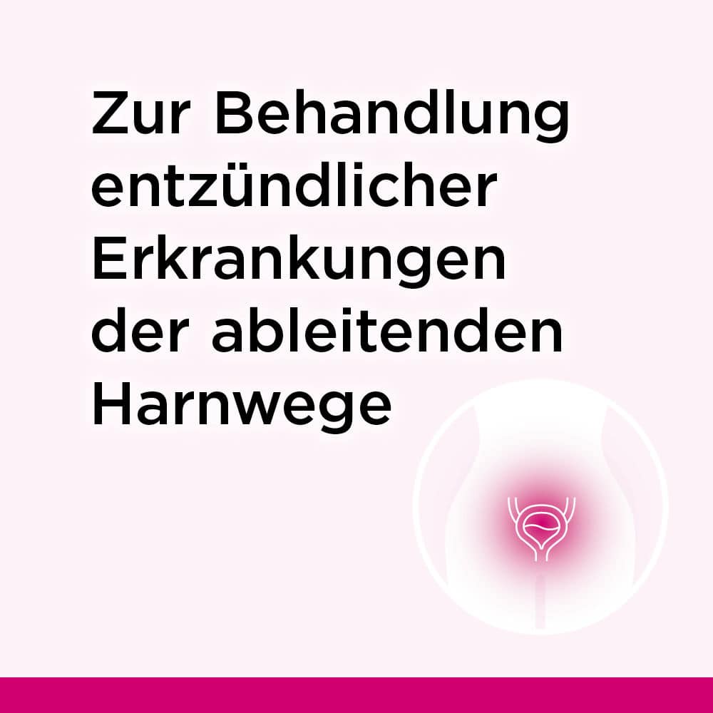 Cystinol akut bei akuter Blasenentzündung & Harnwegsinfektion 100 St Überzogene Tabletten