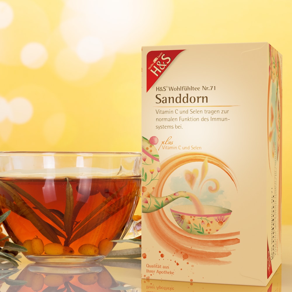 H&S Wohlfühltee Sanddorn mit Vitamin C + Selen 20X2.5 g Filterbeutel
