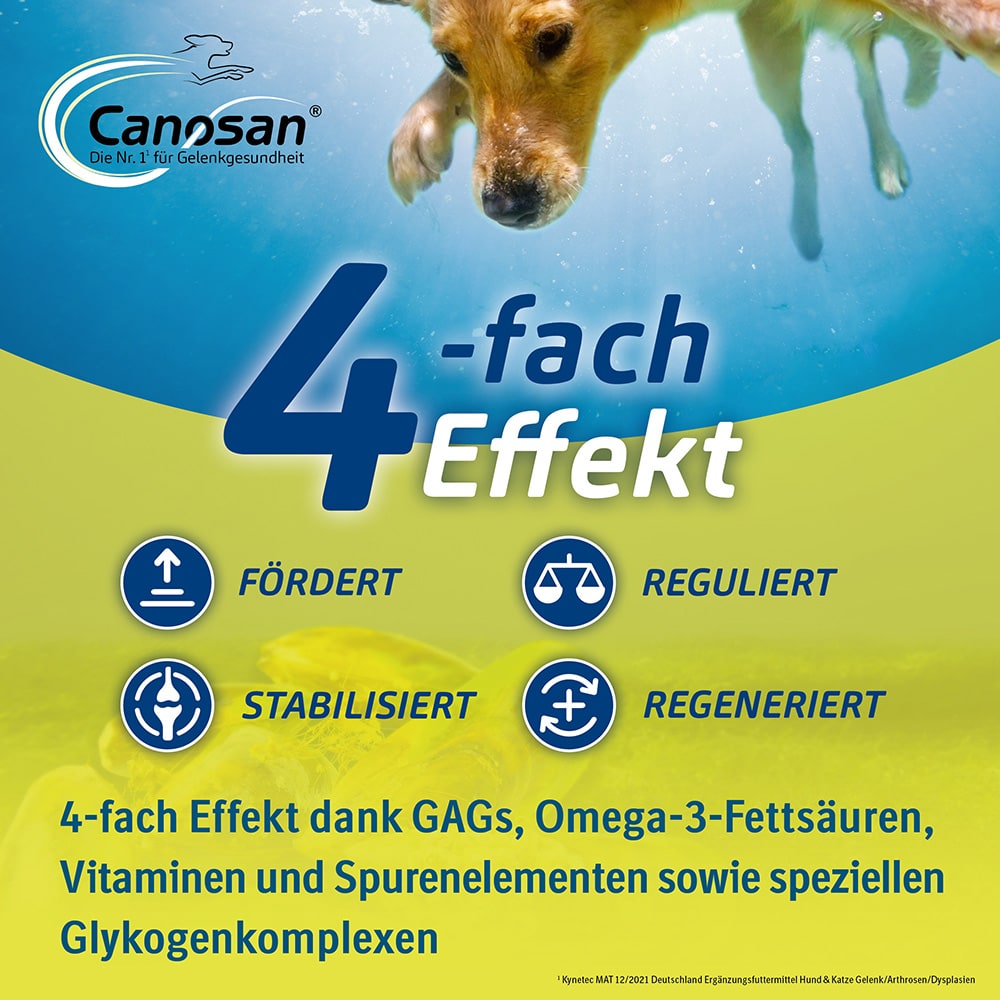 CANOSAN Pellets bei Gelenkproblemen Hund mit Grünlippmuschel-Extrakt Gonex 650 g Konzentrat CANOSAN Pellets bei Gelenkproblemen Hund mit Grünlippmuschel-Extrakt Gonex 650 g Konzentrat