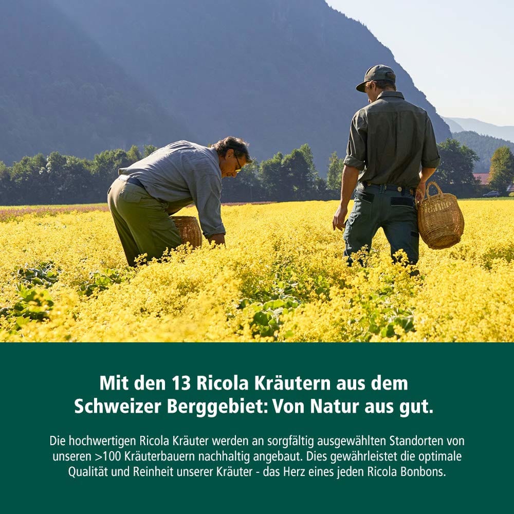 Ricola Apfelminze Schweizer Kräuterbonbon zuckerfrei 75 g Bonbons