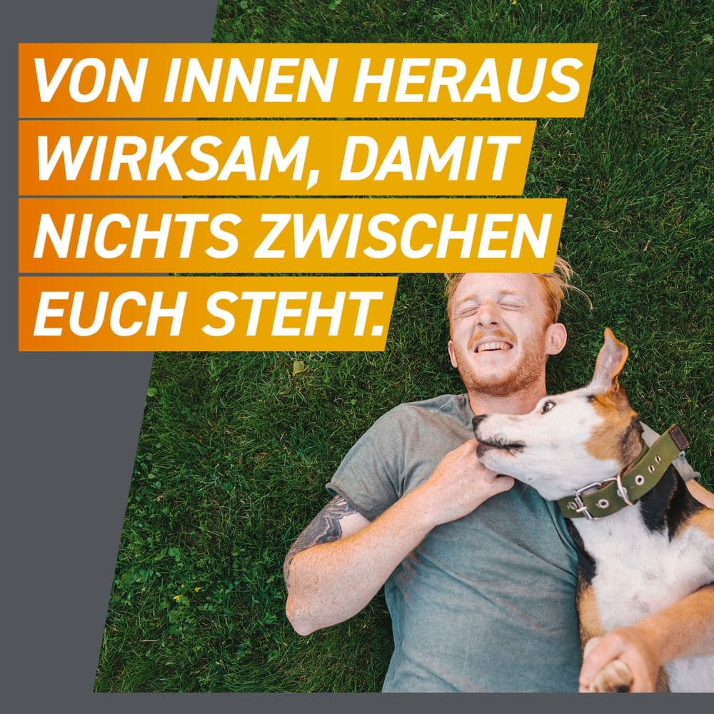 FRONTPRO Kautabletten für Hunde (>25-50kg) 3 St Kautabletten