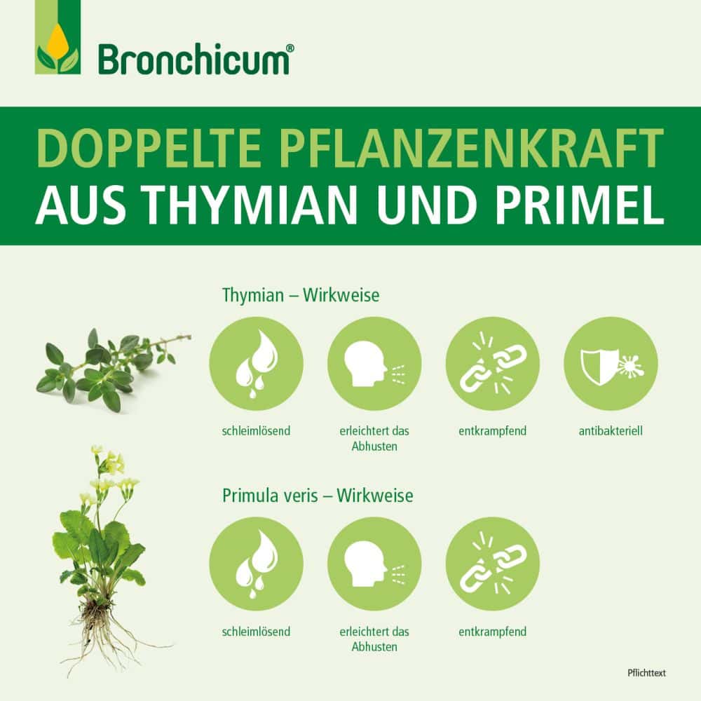 Bronchicum Tropfen 50 ml Tropfen