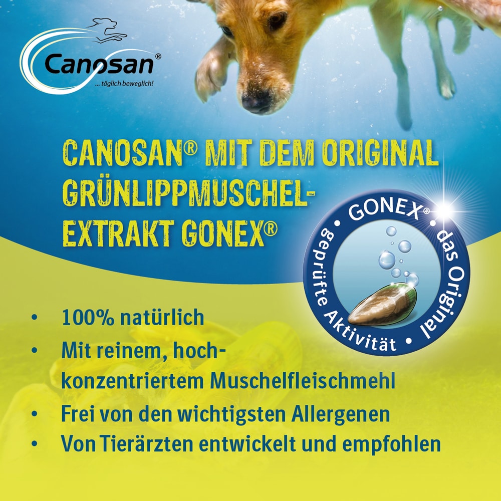 CANOSAN Pellets bei Gelenkproblemen Hund mit Grünlippmuschel-Extrakt Gonex 650 g Konzentrat CANOSAN Pellets bei Gelenkproblemen Hund mit Grünlippmuschel-Extrakt Gonex 650 g Konzentrat