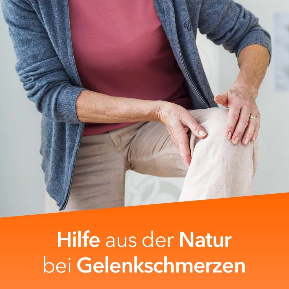 Teufelskralle-ratiopharm bei Gelenkschmerz 200 St Filmtabletten