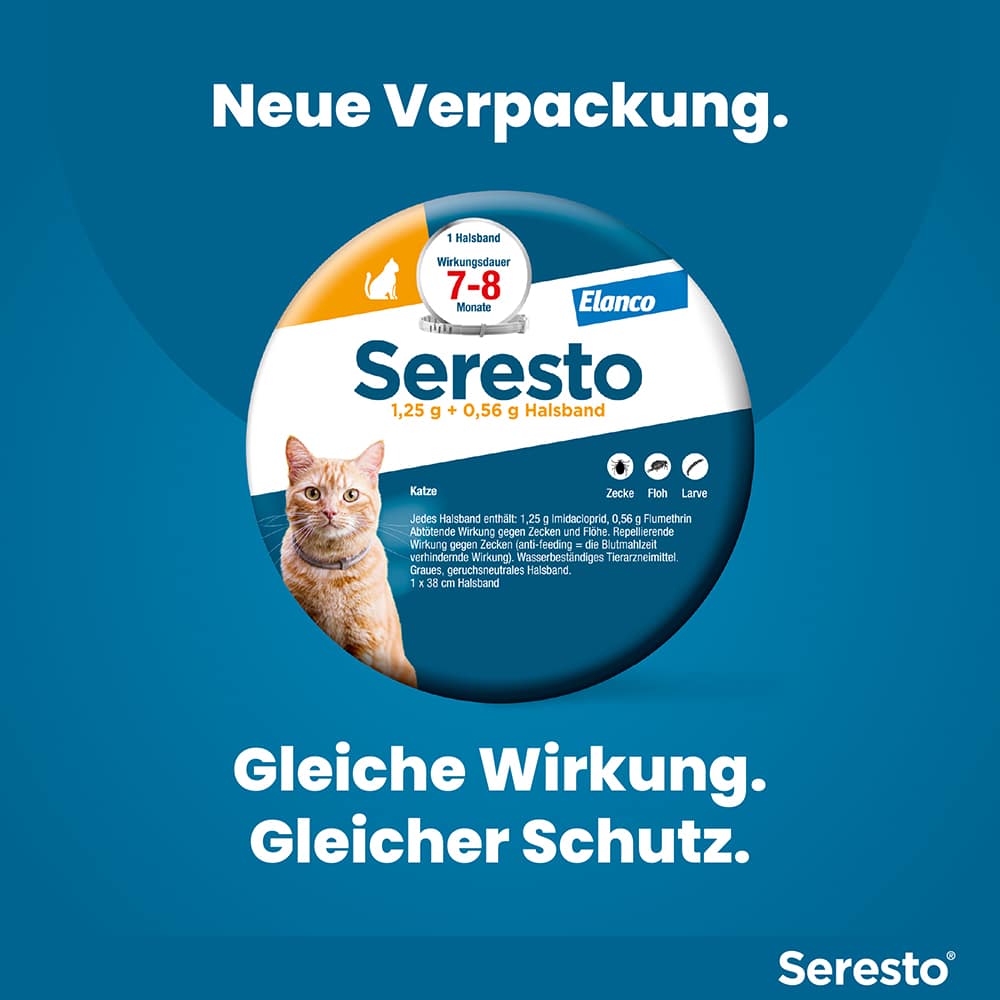 Seresto Halsband für Katzen 1 St Halsband