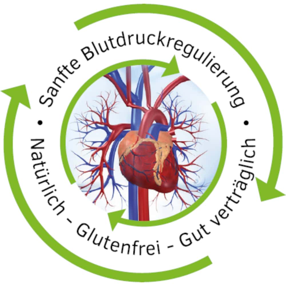 Homviotensin 100 ml Tropfen zum Einnehmen