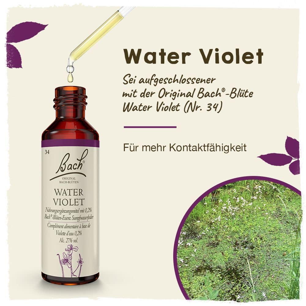 BACHBLÜTEN Original Water Violet Nr. 34 20 ml Tropfen