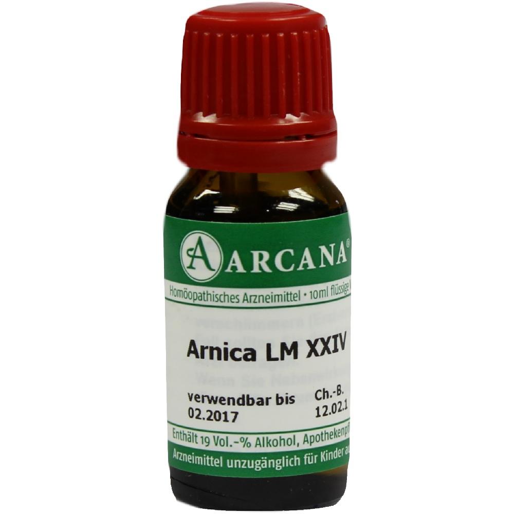 ARNICA LM 24 Dilution 10 ml Dilution