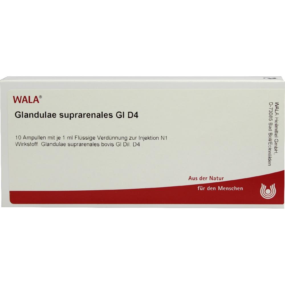 Glandulae suprarenales Gl D4 Ampullen 10X1 ml Ampullen