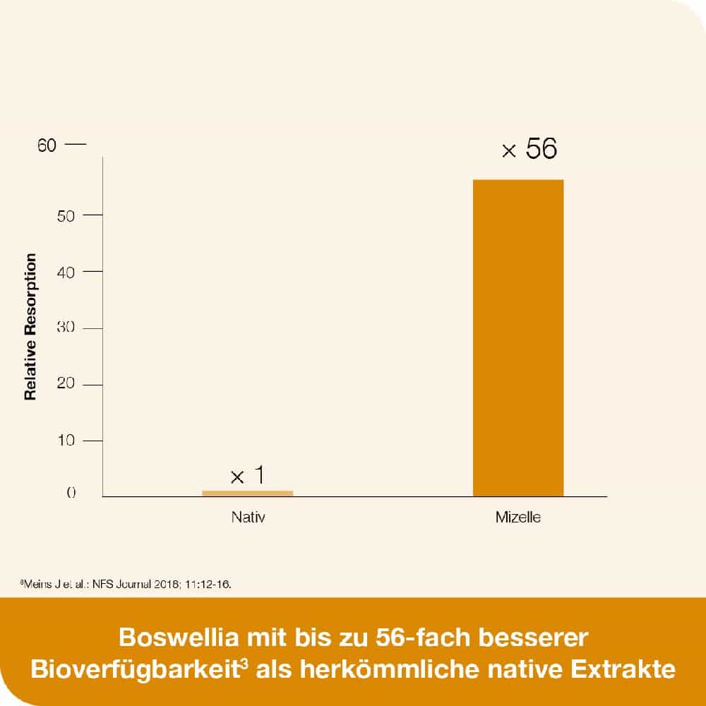 curcumin-Loges plus Boswellia  60 St Kapseln