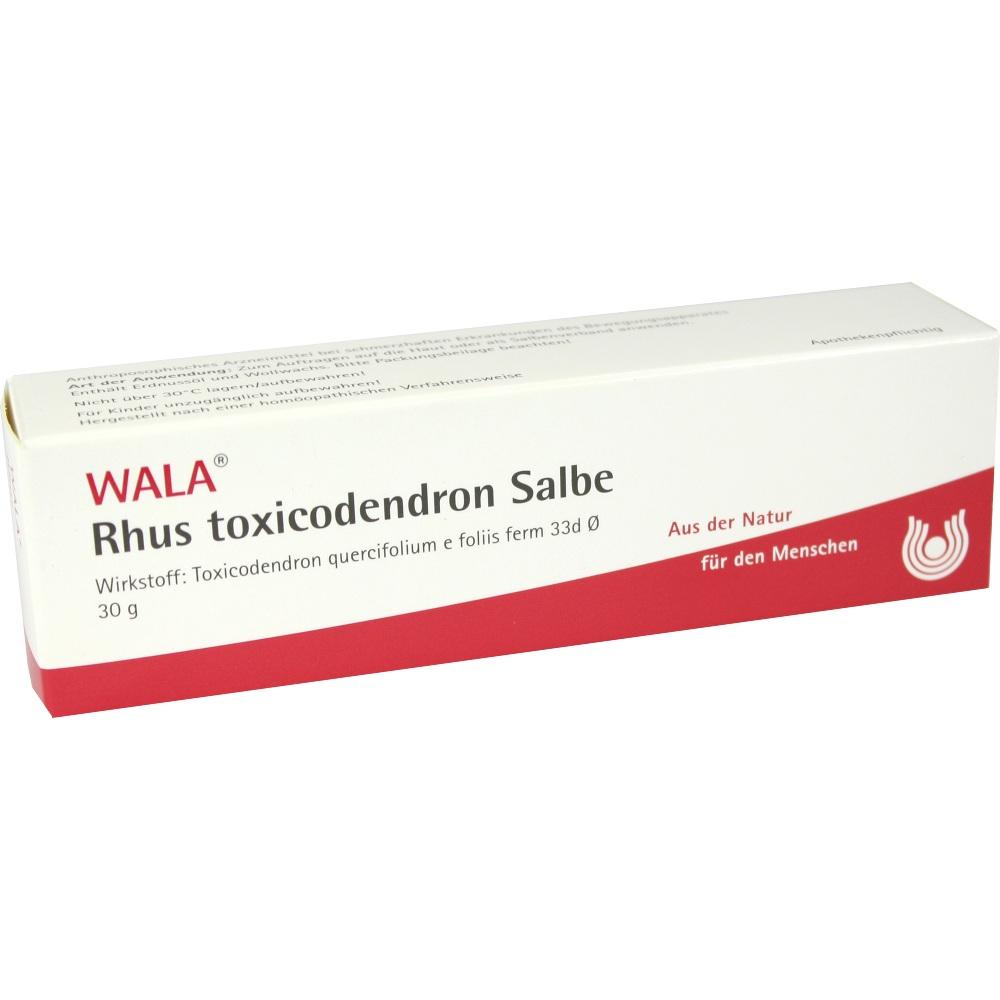 WALA Rhus toxicodendron Salbe 30 g Salbe