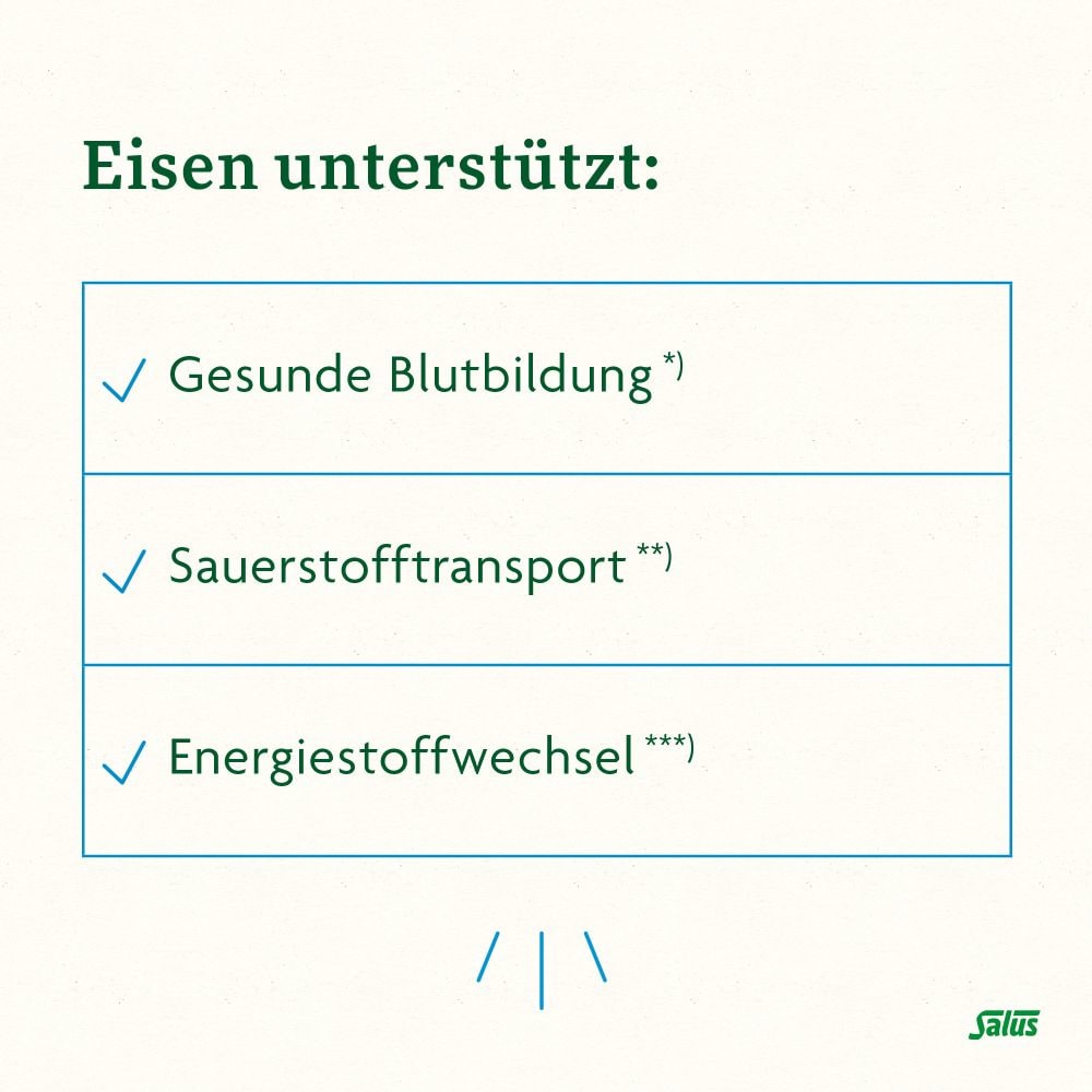 Floradix Eisen plus B12 vegan 40 St Kapseln