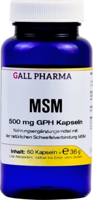 MSM 500 mg GPH Kapseln 60 St Kapseln