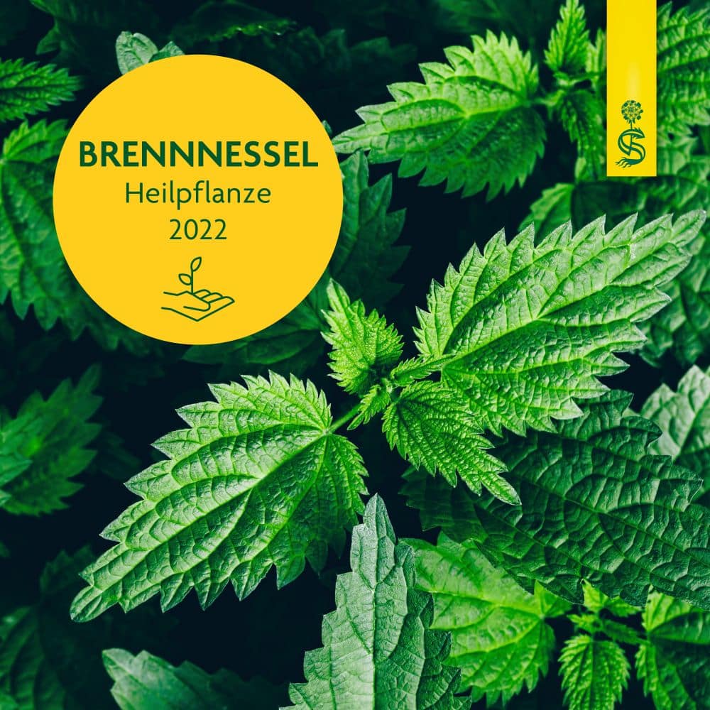 Schoenenberger Naturreiner Heilpflanzensaft Brennnessel 200 ml Saft