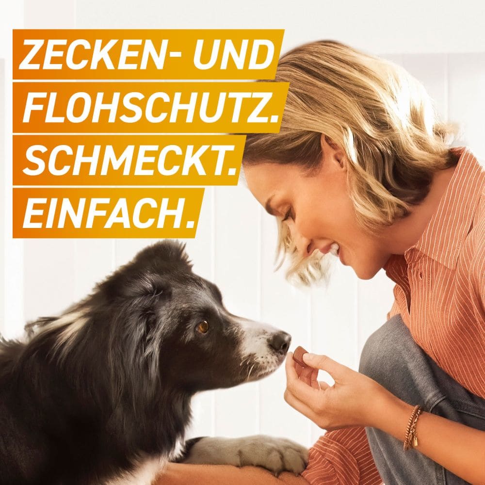 FRONTPRO Kautabletten für Hunde (>25-50kg) 3 St Kautabletten
