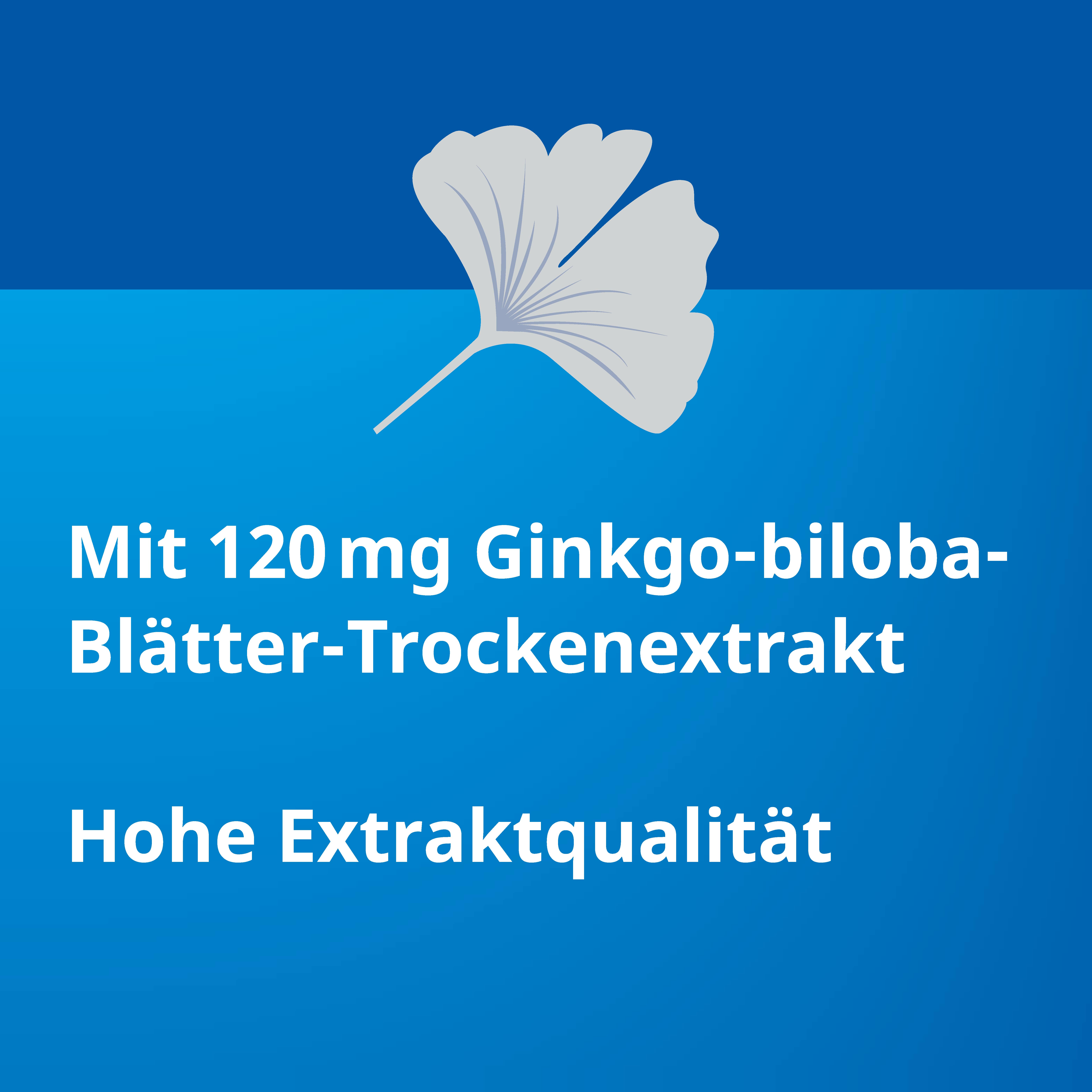 Ginkgo STADA 120 mg - 2x 15 €-Aktion*  120 St Filmtabletten