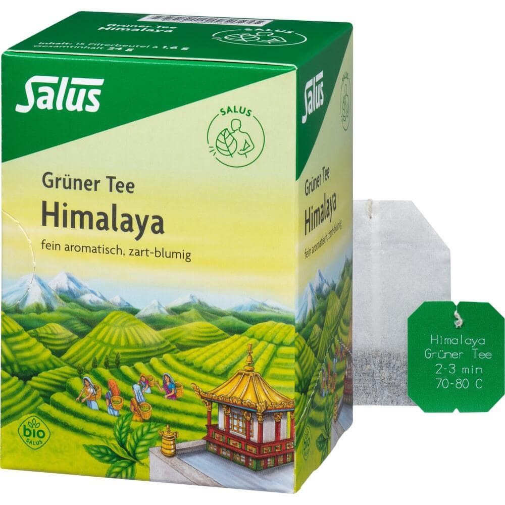 Salus Grüner Tee Himalaya Bio  15 St Filterbeutel