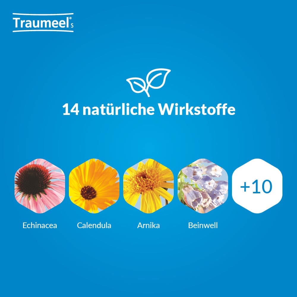 Traumeel Creme & Voltaren Gel Set 1 Sparset