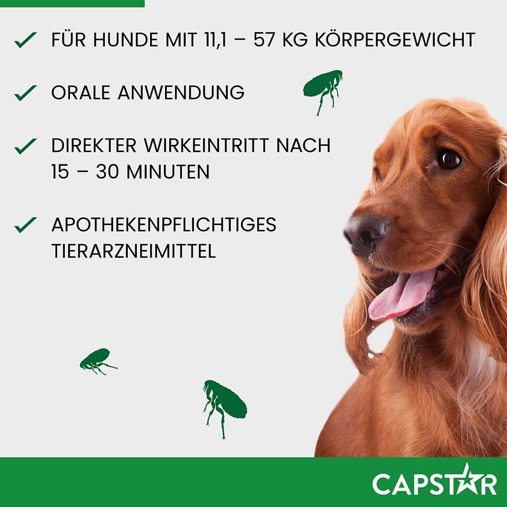 CAPSTAR 57 mg  für große Hunde 6 St Tabletten