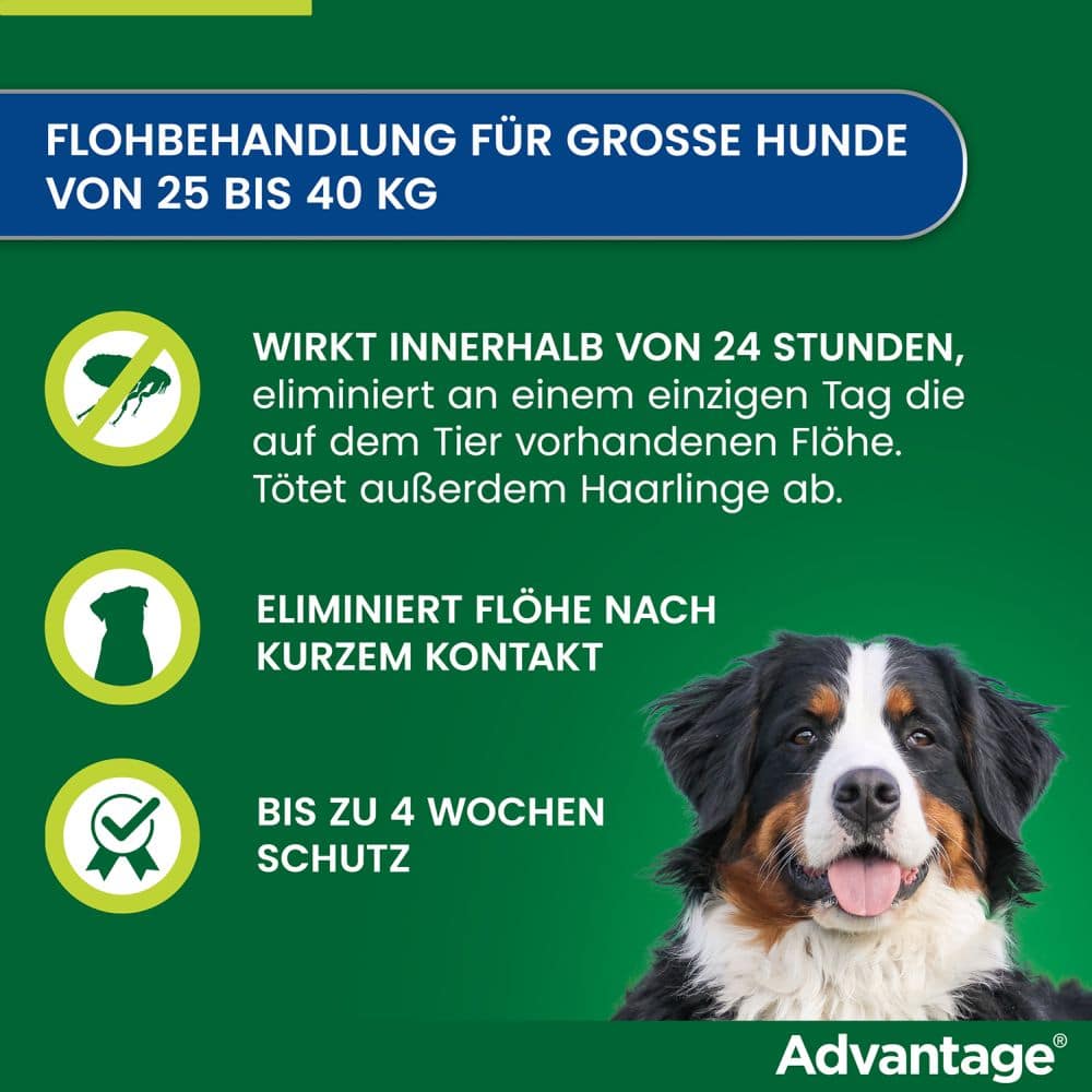 Advantage 400 Lösung Pipetten für Hunde ab 25 kg 1X4 St Lösung