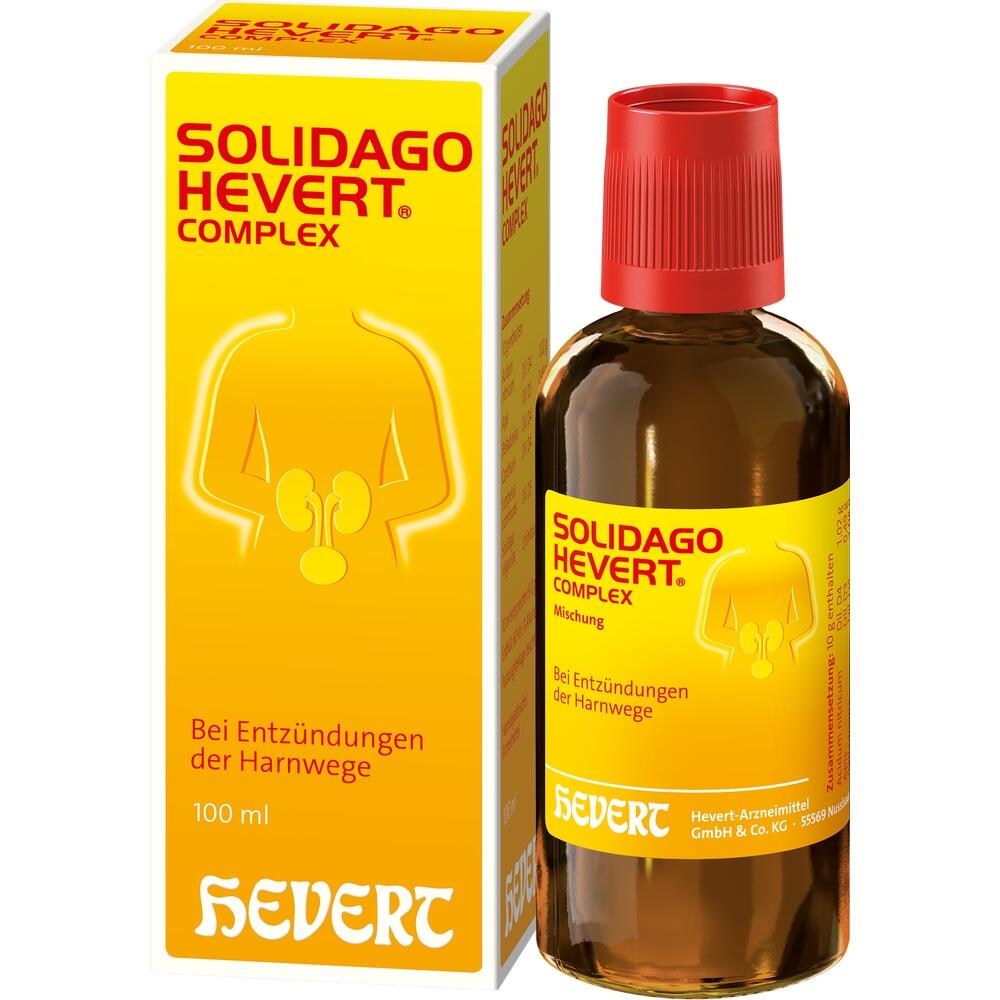 SOLIDAGO HEVERT Complex Tropfen 100 ml Tropfen