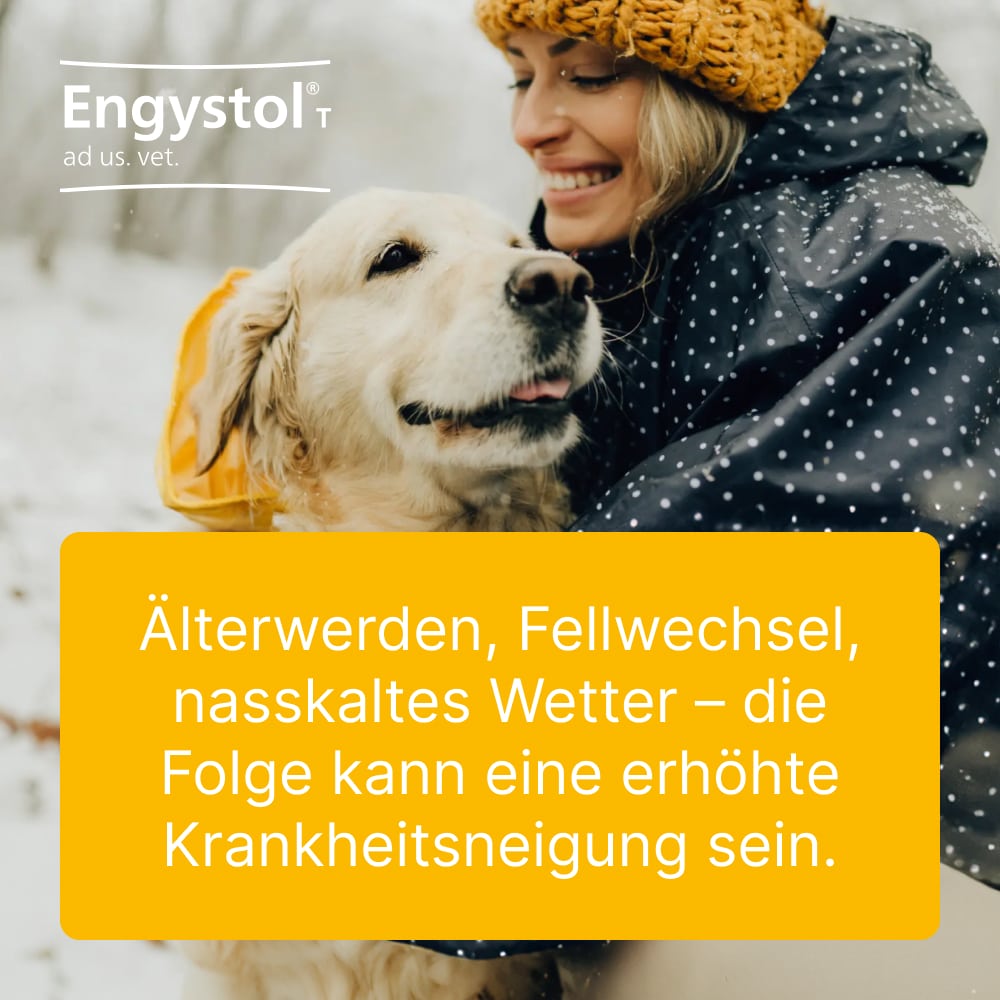 Engystol T ad us. vet. 100 St Tabletten