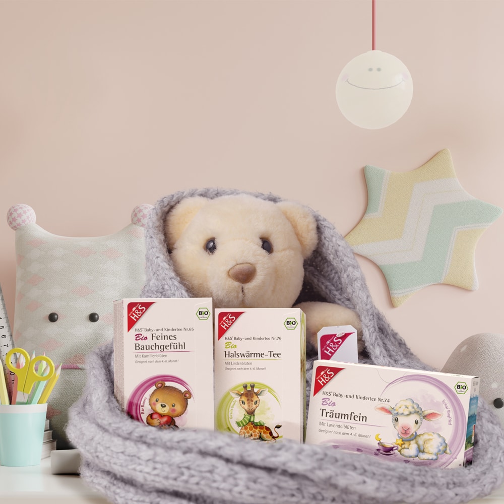 H&S Früchtefein Baby- und Kindertee Bio 20X2.5 g Filterbeutel
