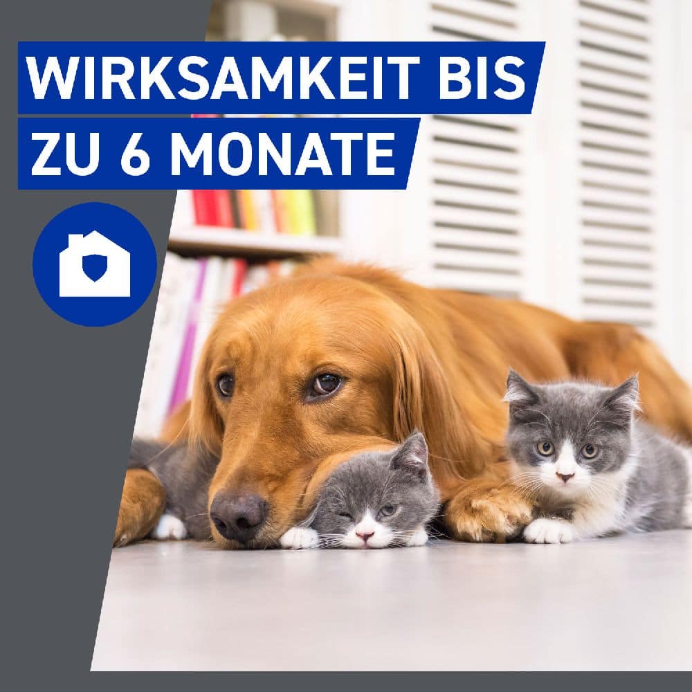 FRONTLINE HOMEGARD  zur gezielten Umgebungsbehandlung gegen Zecken, Flöhe & Flohlarven 250 ml Spray