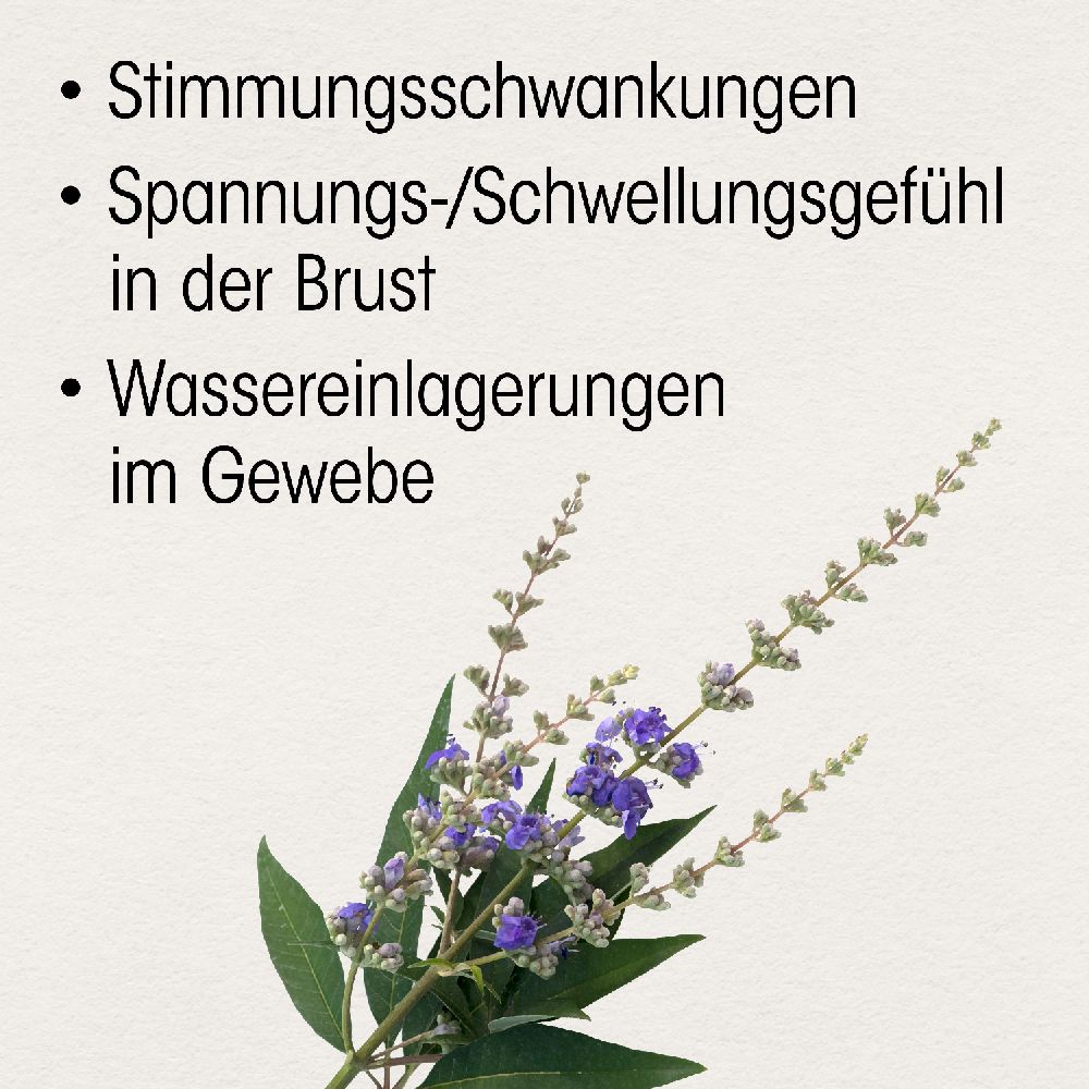 Dr. Böhm Mönchspfeffer 4 mg 60 St Filmtabletten