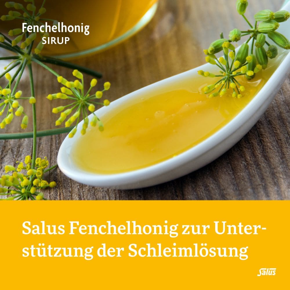 Salus Fenchelhonig 250 ml Sirup