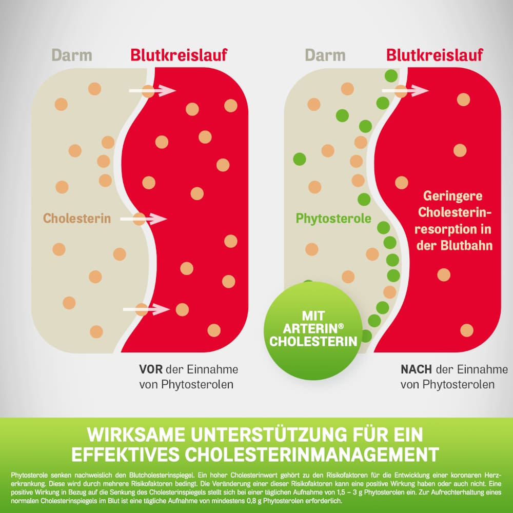 ARTERIN CHOLESTERIN 90 St Tabletten