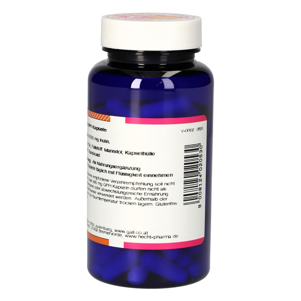 INULIN 420 mg GPH Kapseln 90 St Kapseln