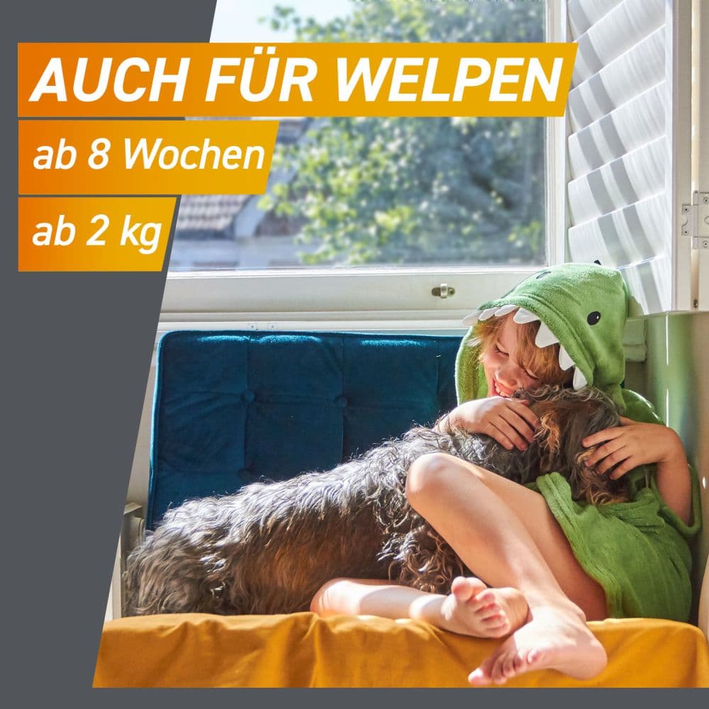 FRONTPRO Kautabletten für Hunde (>25-50kg) 3 St Kautabletten