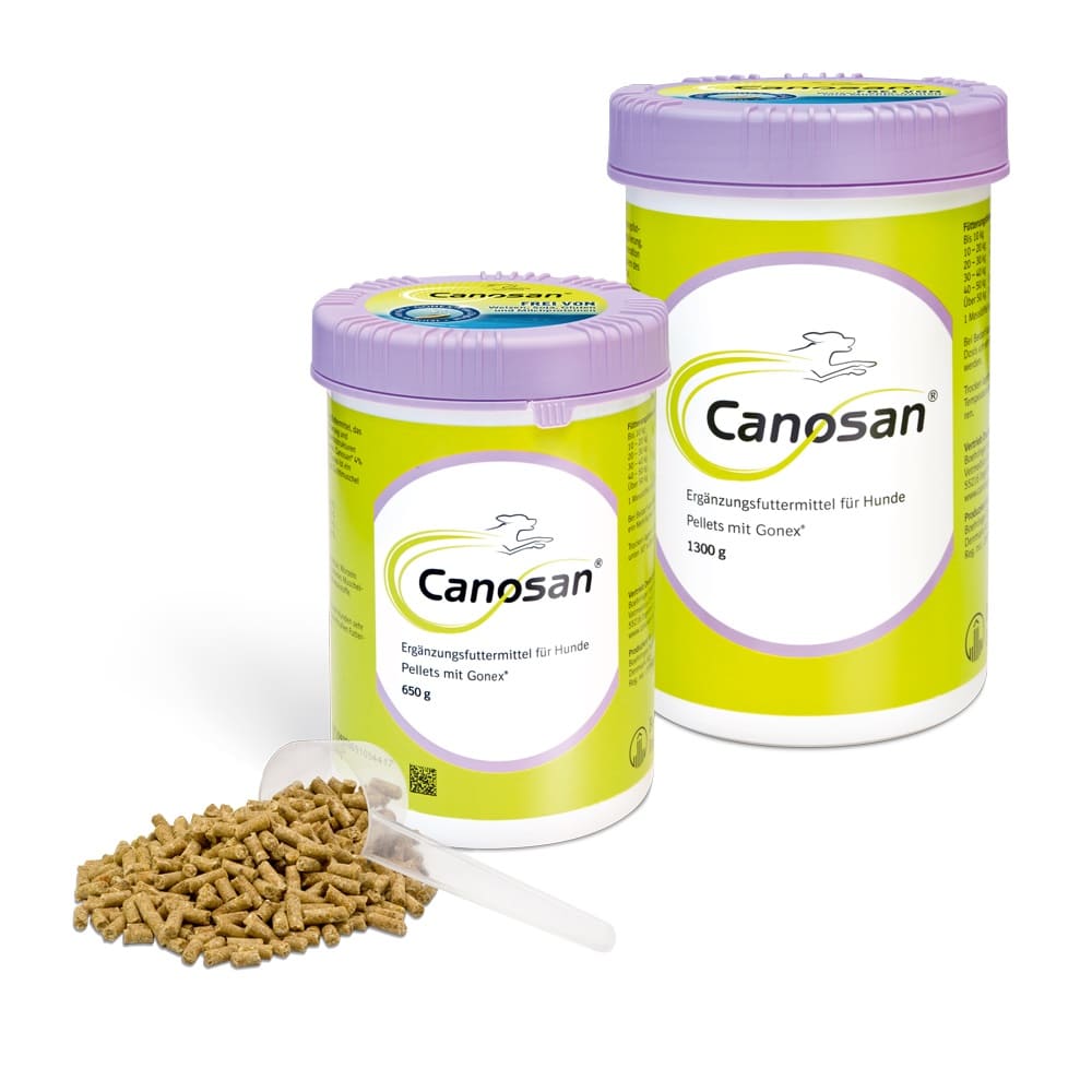 CANOSAN Pellets bei Gelenkproblemen Hund mit Grünlippmuschel-Extrakt Gonex 650 g Konzentrat CANOSAN Pellets bei Gelenkproblemen Hund mit Grünlippmuschel-Extrakt Gonex 650 g Konzentrat
