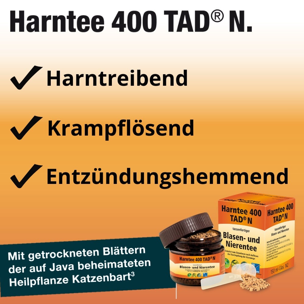 Harntee 400 TAD N Blasen- und Nierentee 150 ml Granulat