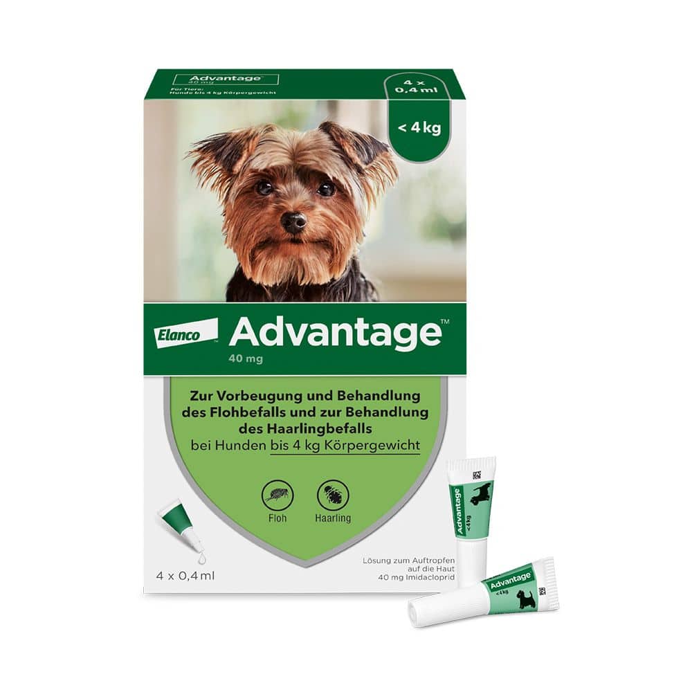 Advantage 40 Lösung für Hunde bis 4 kg 4 St Lösung