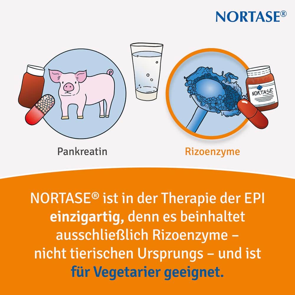 NORTASE 20 St Kapseln