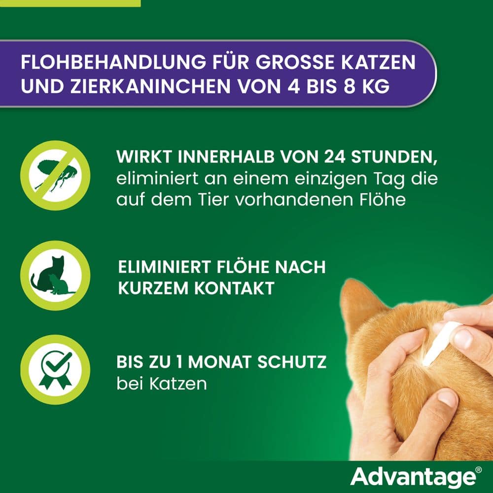 Advantage 80mg Für große Katzen und große Zierkaninchen 4X0.8 ml Lösung