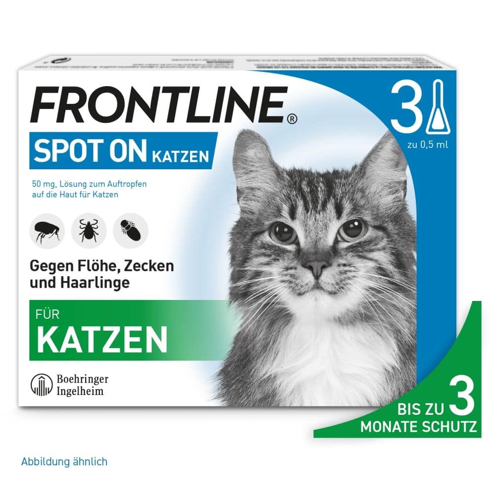Zecken-Set Katze 1 Sparset