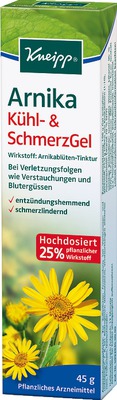 Kneipp Arnika Kühl- & SchmerzGel 100 g Gel