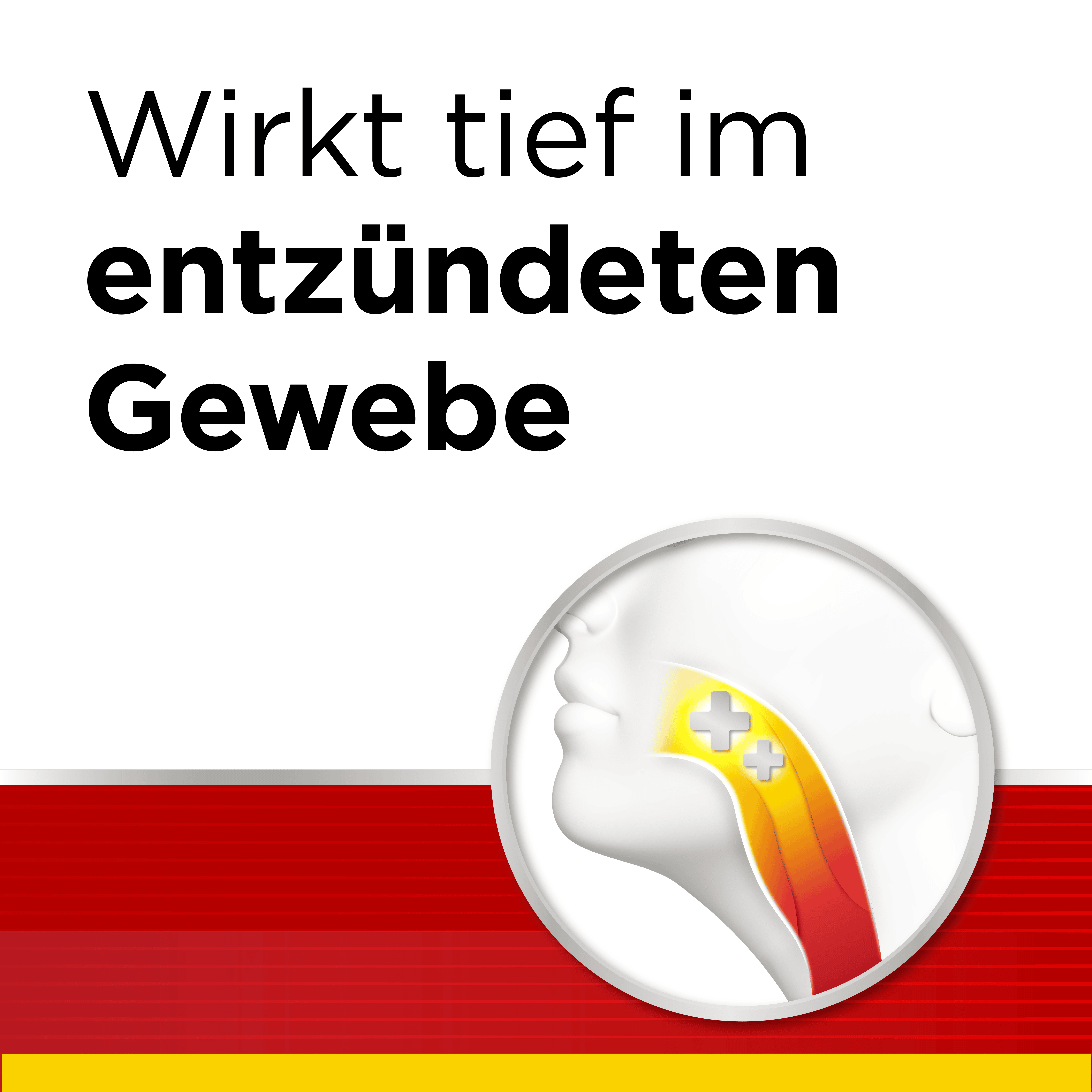 Dobendan Direkt Doppelpack 1 Sparset