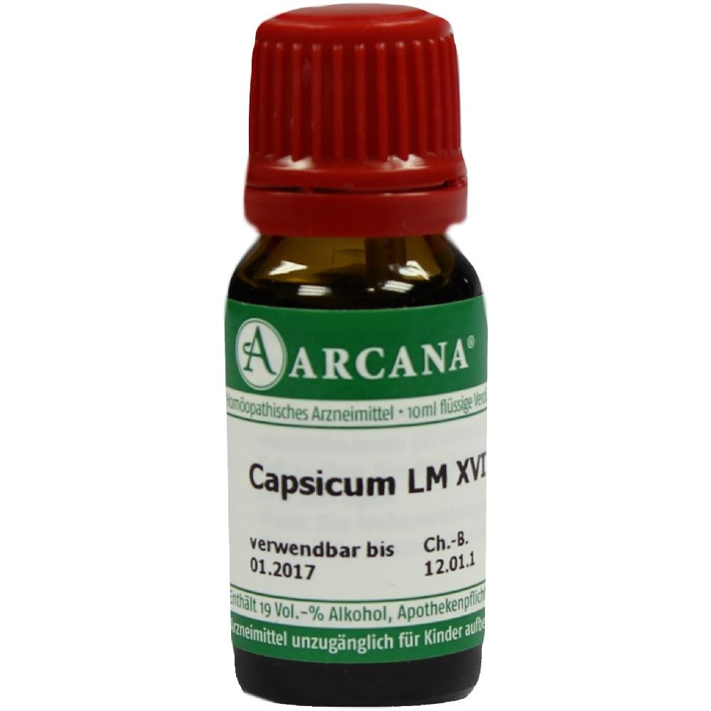 CAPSICUM LM 18 Dilution 10 ml Dilution
