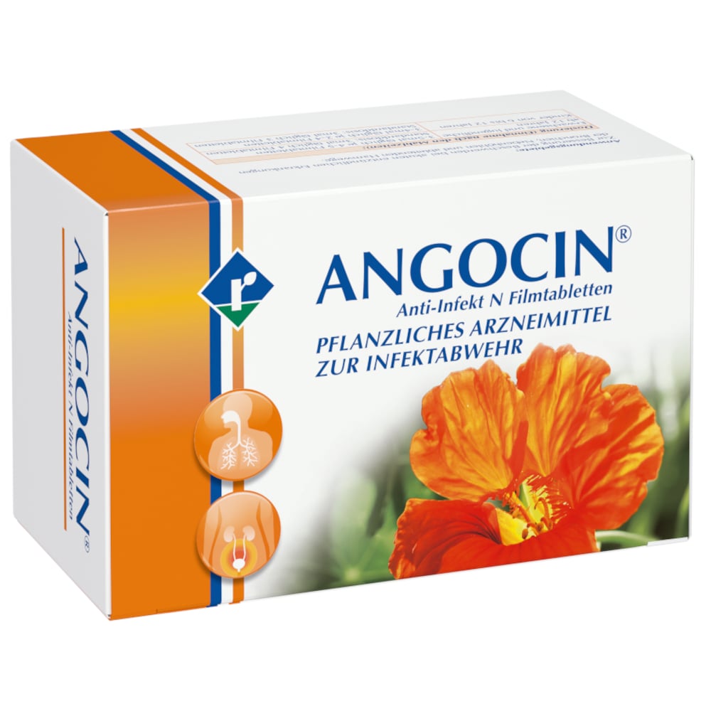 ANGOCIN Anti-Infekt N  500 St Filmtabletten