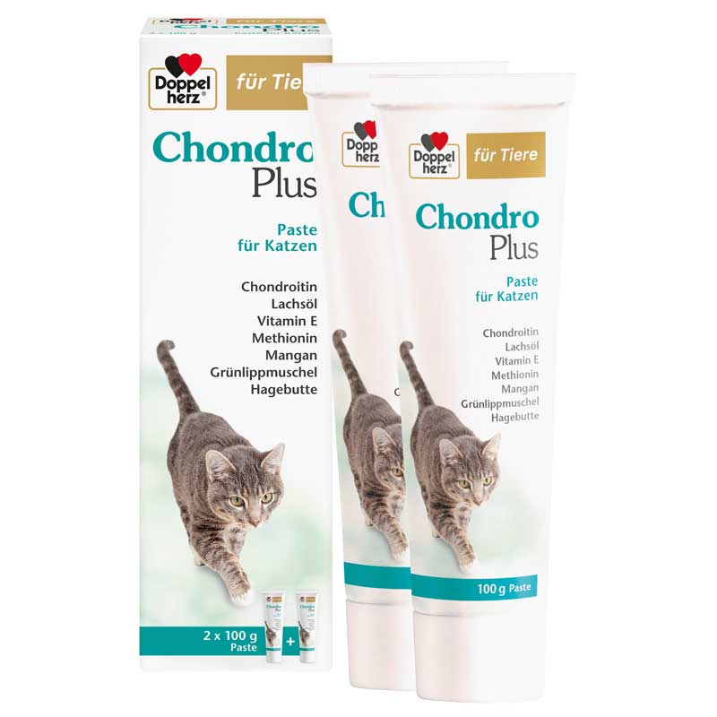 Doppelherz für Tiere Chondro Plus 2X100 g Paste