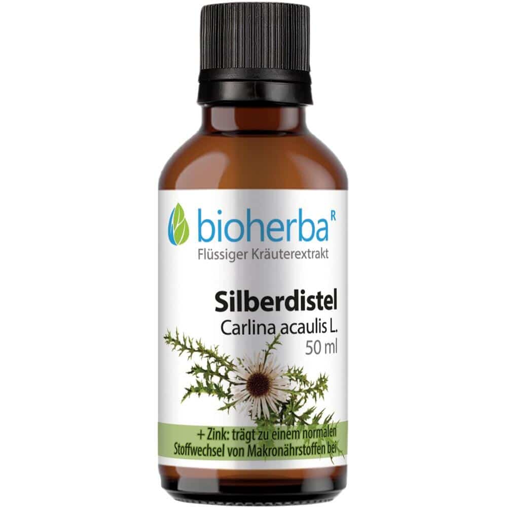 SILBERDISTEL CARLIN ACAUL